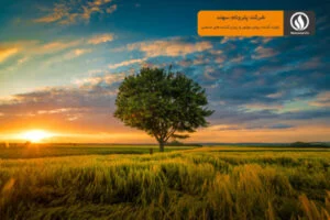 پارانوکس دوست دار طبیعت